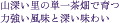 山深い里の単一茶畑で育つ力強い風味と深い味わい